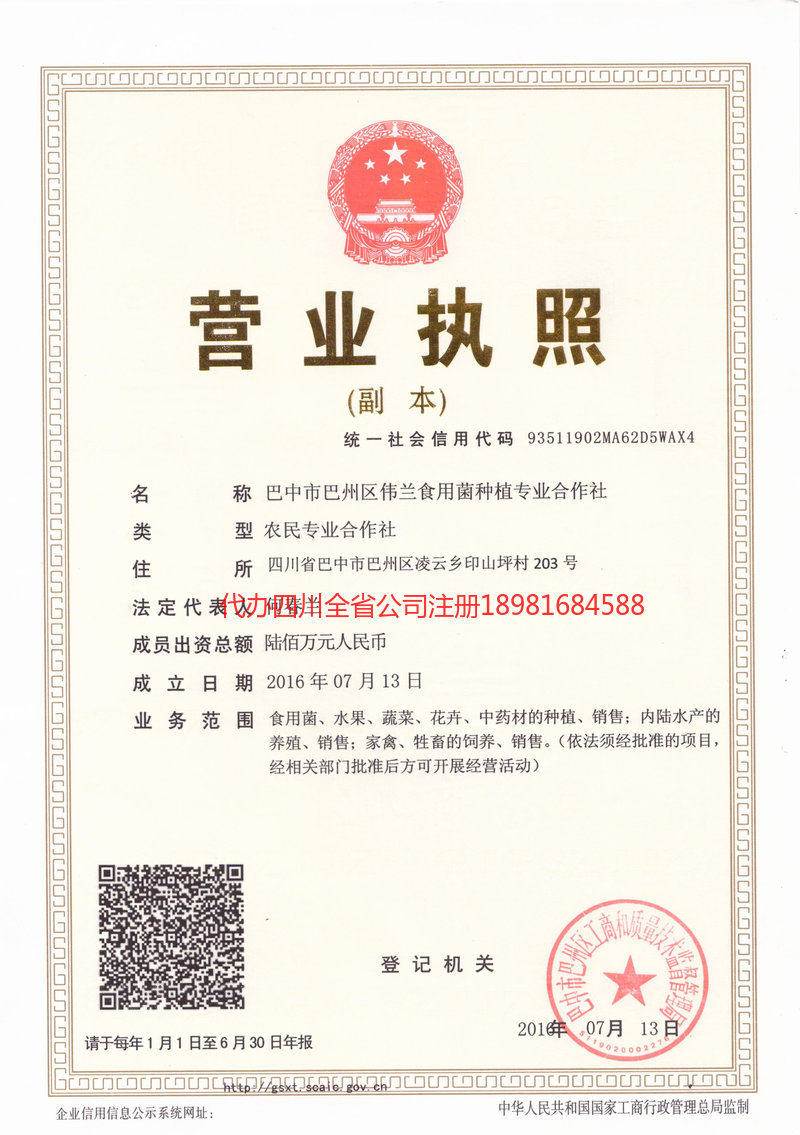 东区东区伟兰食用菌种植专业合作社
